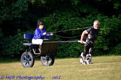 Mistress Elaina drives a pony around a field.